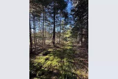 Lot 25 H Boot Cove Road, Lubec, ME 04652 - Photo 21