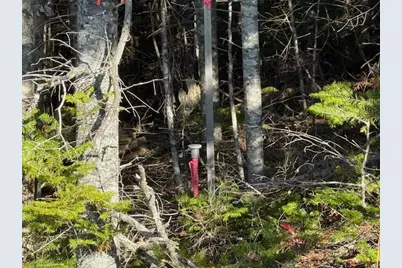 Lot 25 H Boot Cove Road, Lubec, ME 04652 - Photo 25