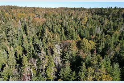 Lot 25 H Boot Cove Road, Lubec, ME 04652 - Photo 3