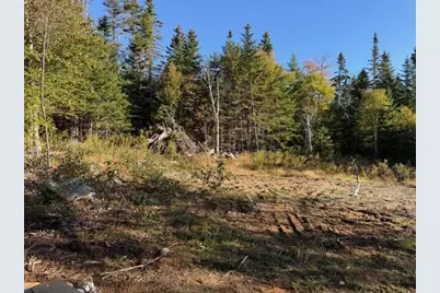 Lot 25 H Boot Cove Road, Lubec, ME 04652 - Photo 9