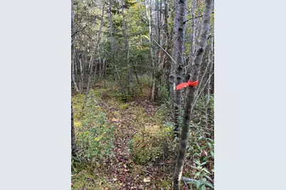Lot 25 H Boot Cove Road, Lubec, ME 04652 - Photo 19