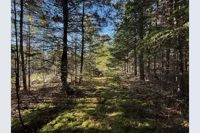 Lot 25 H Boot Cove Road, Lubec, ME 04652 - Photo 17
