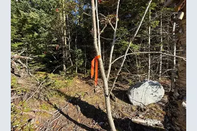 Lot 25 H Boot Cove Road, Lubec, ME 04652 - Photo 15