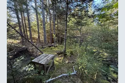 Lot 25 H Boot Cove Road, Lubec, ME 04652 - Photo 23