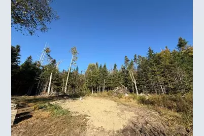 Lot 25 H Boot Cove Road, Lubec, ME 04652 - Photo 5