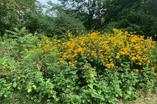 18 Belgrade Rd, Oakland, ME 04963 - Photo 51