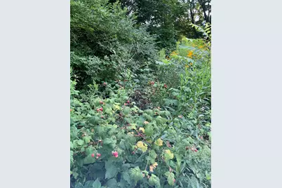 18 Belgrade Road, Oakland, ME 04963 - Photo 49