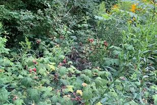 18 Belgrade Rd, Oakland, ME 04963 - Photo 49