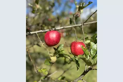 26 Crowell Hill Road, Vassalboro, ME 04989 - Photo 15