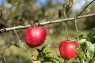 26 Crowell Hill Rd, Vassalboro, ME 04989 - Photo 15