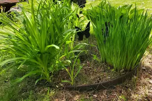 31 Swan Ln, Dexter, ME 04930 - Photo 101