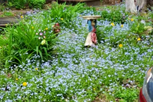 31 Swan Ln, Dexter, ME 04930 - Photo 97