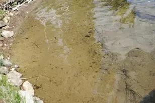 31 Swan Ln, Dexter, ME 04930 - Photo 103