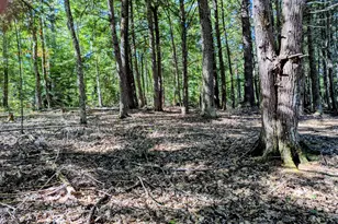 755 Winslows Mills Road N, Waldoboro, ME 04572 - Photo 5