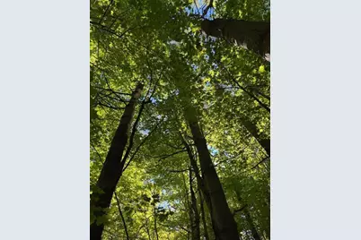 Lot 1 Oak Hill Road, Smithfield, ME 04978 - Photo 3