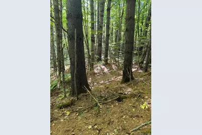Lot 1 Oak Hill Road, Smithfield, ME 04978 - Photo 5