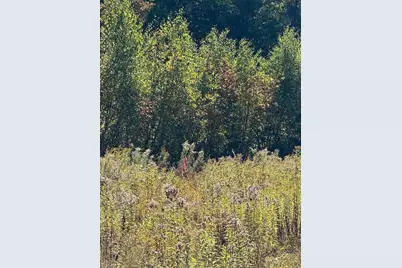 Lot 2 Oak Hill Road, Smithfield, ME 04978 - Photo 11