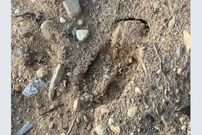 018 Bear Lane, Rumford, ME 04276 - Photo 21