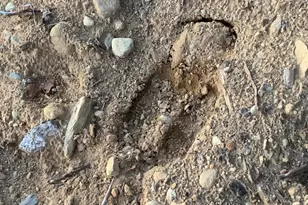 019 Bear Ln, Rumford, ME 04276 - Photo 53