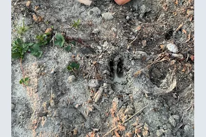 019 Bear Lane, Rumford, ME 04276 - Photo 35