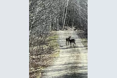 019 Bear Lane, Rumford, ME 04276 - Photo 69