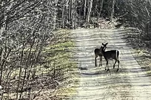 019 Bear Ln, Rumford, ME 04276 - Photo 69