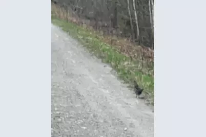 019 Upper Bear Lane, Rumford, ME 04276 - Photo 51