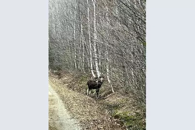 019 Upper Bear Lane, Rumford, ME 04276 - Photo 59