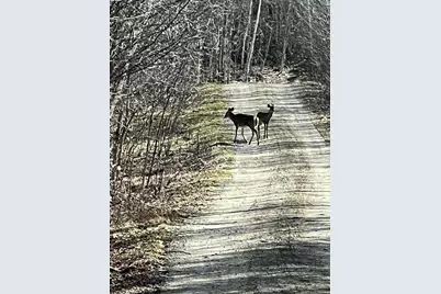 019 Upper Bear Lane, Rumford, ME 04276 - Photo 67