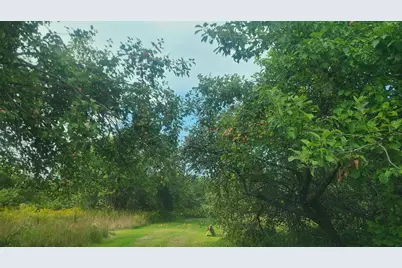 350 High Meadow Road, Perham, ME 04766 - Photo 3