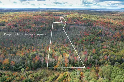 535 Bert Gray Road, Sullivan, ME 04664 - Photo 5