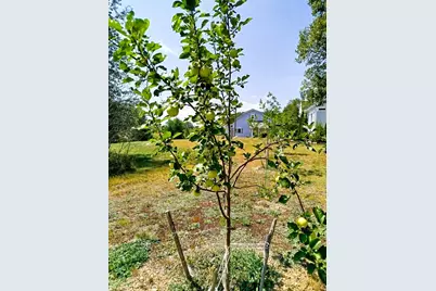 717 Crystal Road, Crystal, ME 04747 - Photo 41