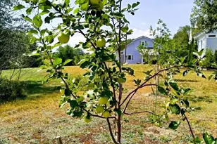 717 Crystal Rd, Crystal, ME 04747 - Photo 41