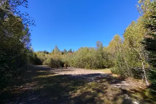 717 Crystal Rd, Crystal, ME 04747 - Photo 73