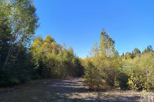 717 Crystal Rd, Crystal, ME 04747 - Photo 71