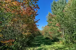 717 Crystal Rd, Crystal, ME 04747 - Photo 35