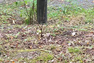 9 Jerry's Rd, Masardis, ME 04732 - Photo 17