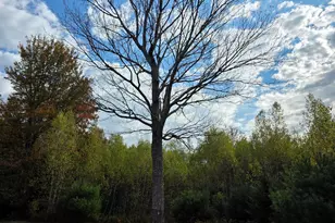 25 Donaghy Rd, Frankfort, ME 04438 - Photo 13