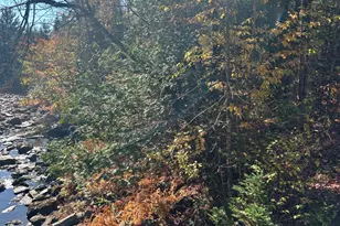 M1/L1-3 Bowerbank Rd, Bowerbank, ME 04426 - Photo 33