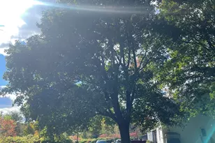 565 River Rd, Anson, ME 04958 - Photo 83