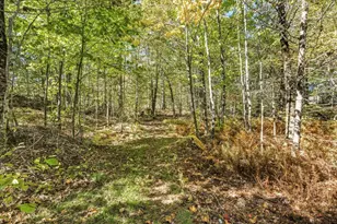 41 Kirby Island Rd, Liberty, ME 04949 - Photo 49