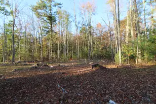 53-03 Race Course Rd, Bucksport, ME 04416 - Photo 1