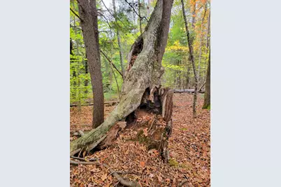 449 Holley Road, Farmington, ME 04938 - Photo 89