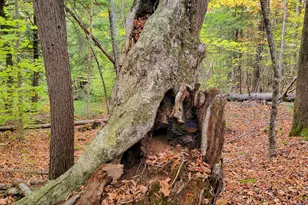 449 Holley Rd, Farmington, ME 04938 - Photo 89