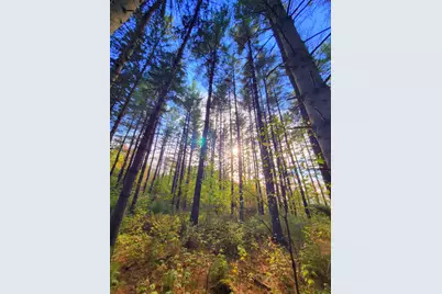 449 Holley Road, Farmington, ME 04938 - Photo 109