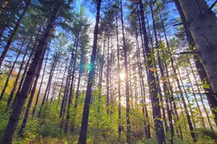 449 Holley Rd, Farmington, ME 04938 - Photo 109