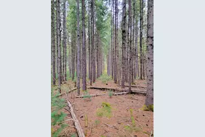 449 Holley Road, Farmington, ME 04938 - Photo 3