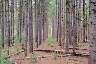 449 Holley Rd, Farmington, ME 04938 - Photo 3