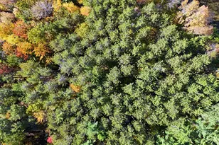 449 Holley Rd, Farmington, ME 04938 - Photo 107