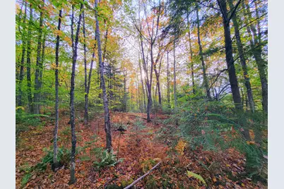 449 Holley Road, Farmington, ME 04938 - Photo 93